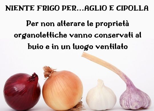 Canva Aglio e Cipolla.jpg